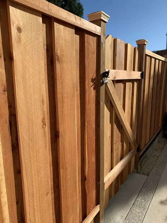 Danny Fencing