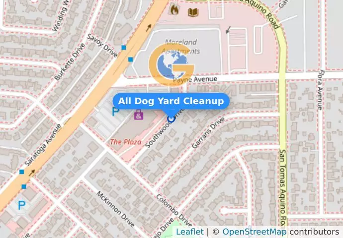 All Dog Yard Cleanup