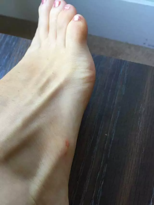 246 Studio Spa