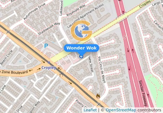 Wonder Wok