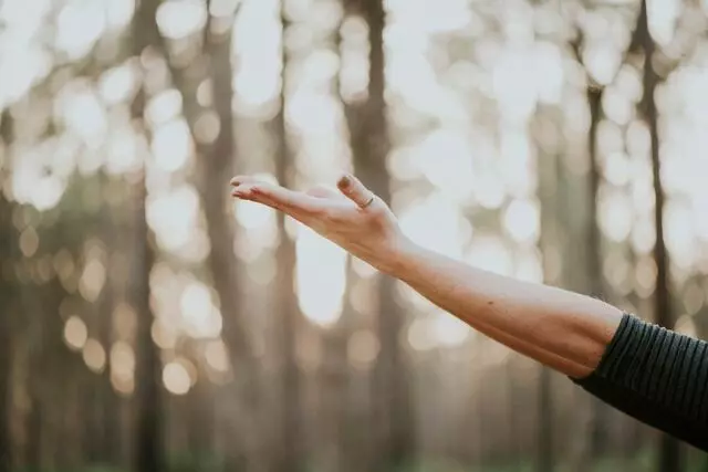 Yoga Qigong Healing