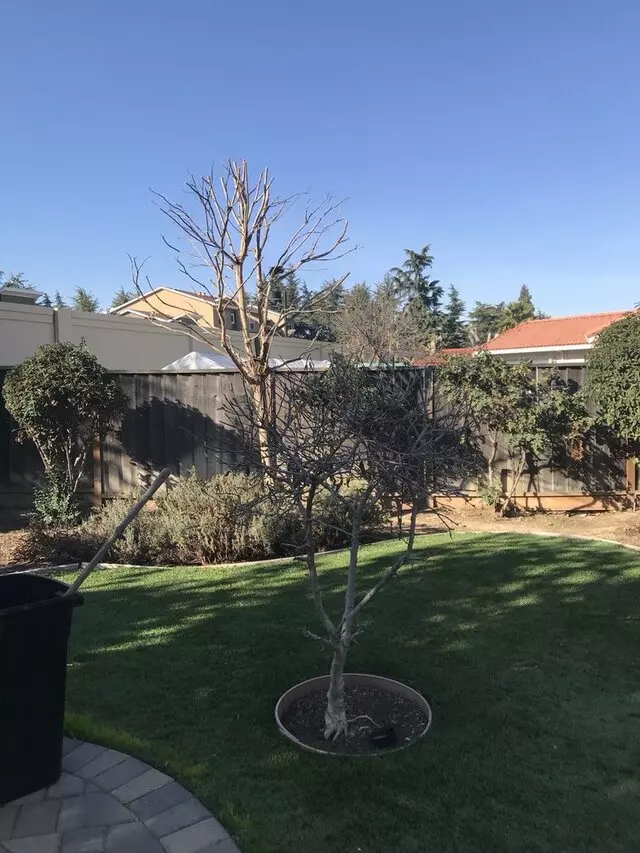 J & J Gardening