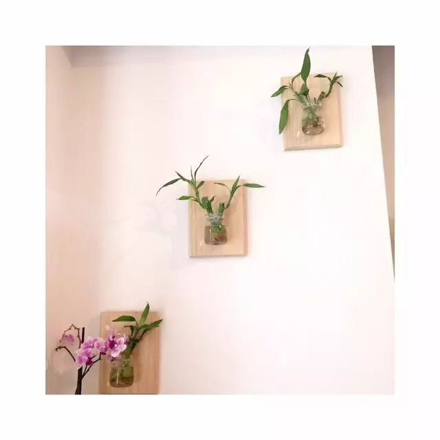 Sinceretea
