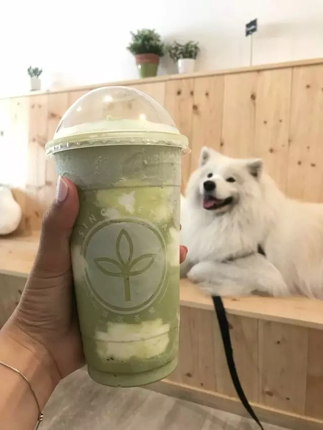Sinceretea