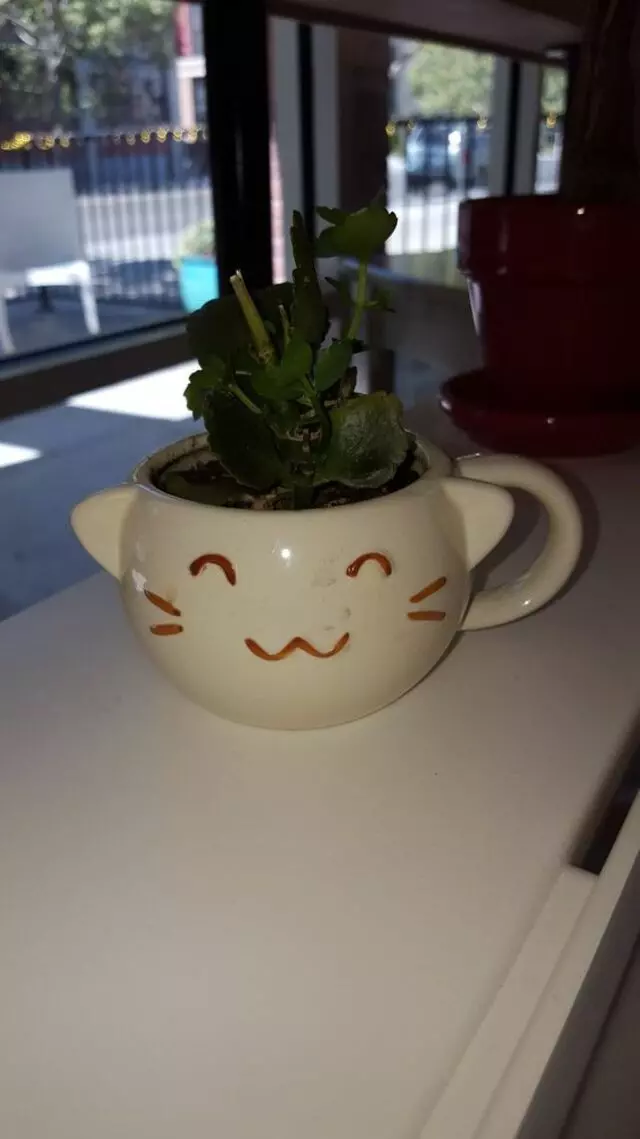 Sinceretea