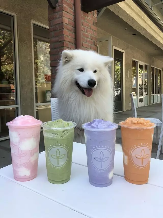 Sinceretea