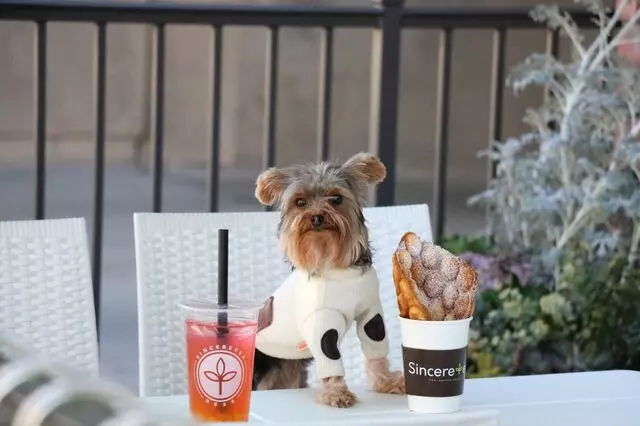 Sinceretea