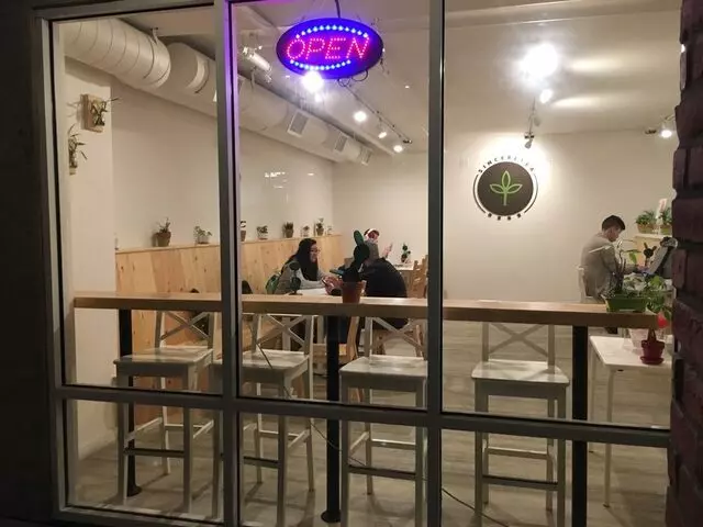 Sinceretea