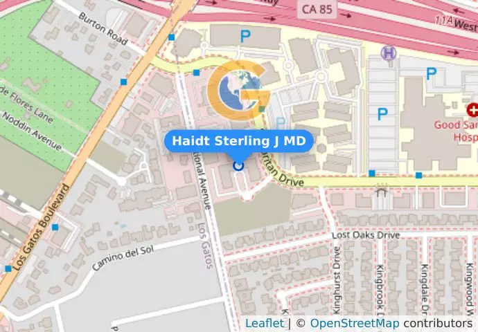 Haidt Sterling J MD