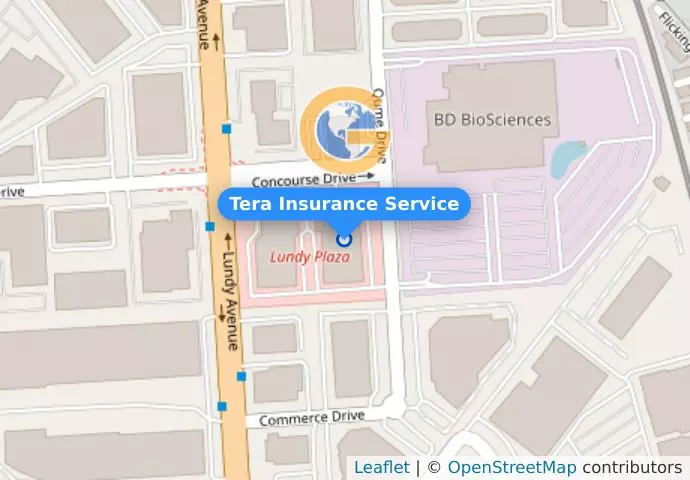 Tera Insurance Service