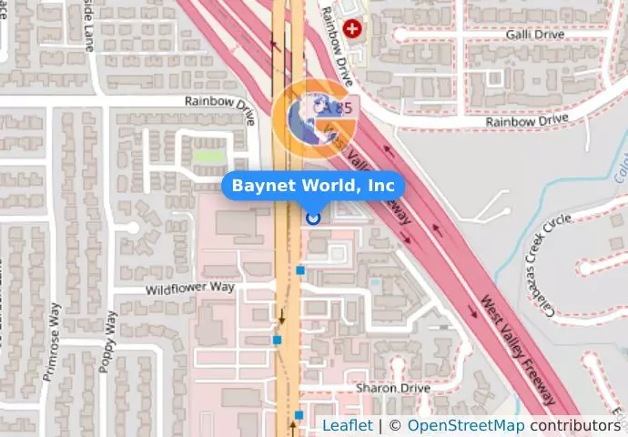 Baynet World, Inc