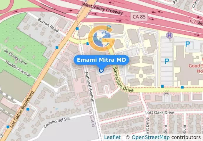 Emami Mitra MD