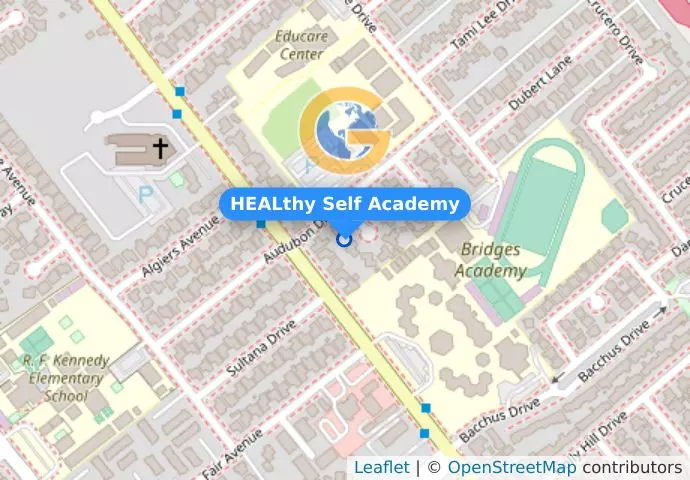 HEALthy Self Academy