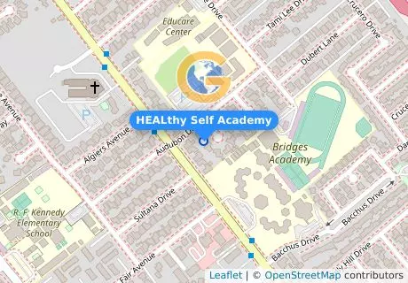 HEALthy Self Academy