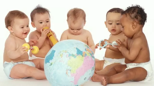 Affordable Paternity Solutions