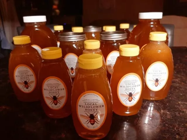 Mango Blossom Apiary