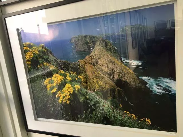 Art Ark Gallery