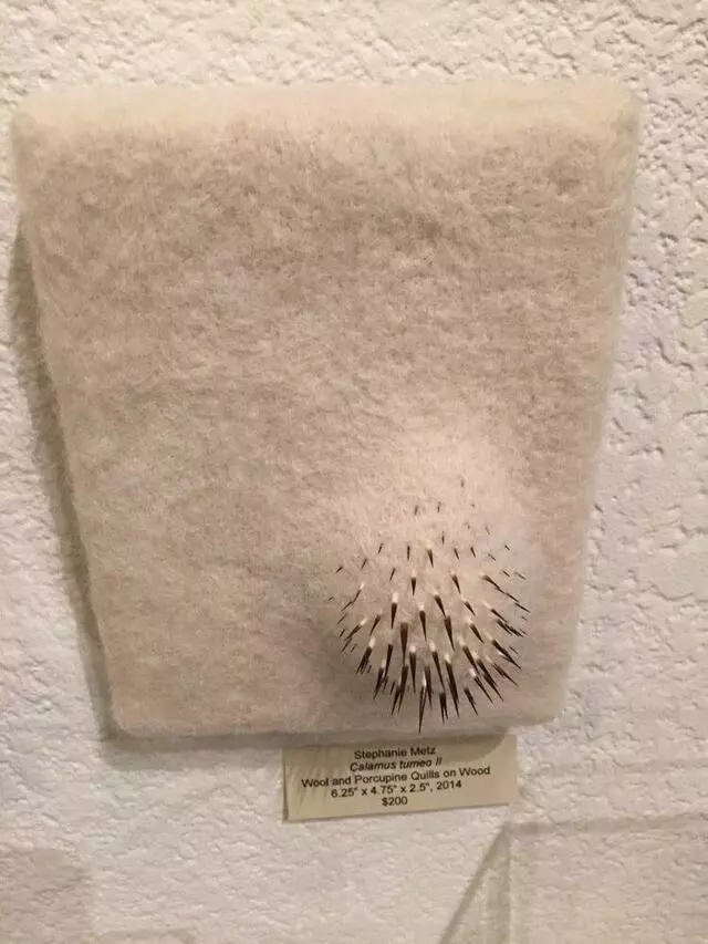 Art Ark Gallery