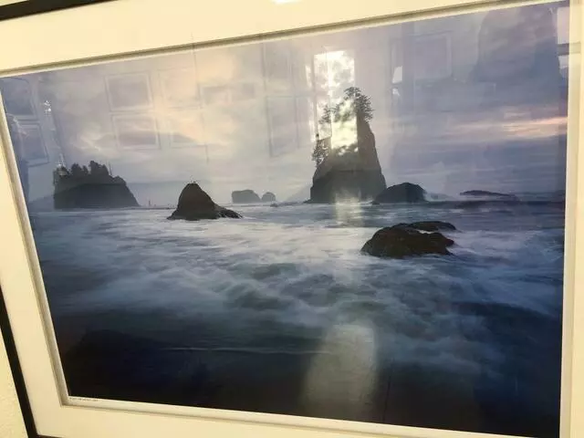 Art Ark Gallery