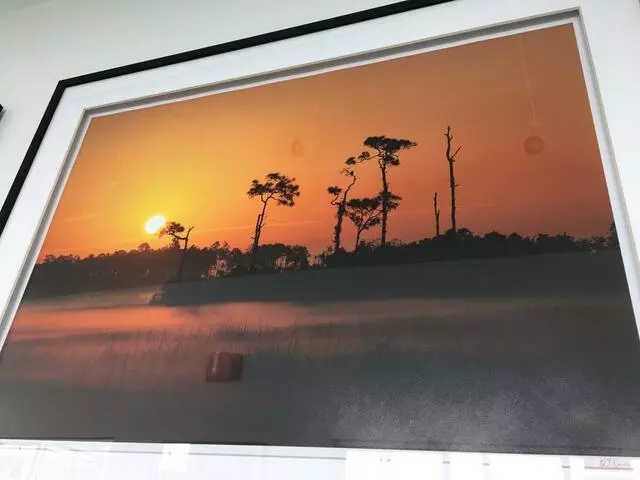 Art Ark Gallery