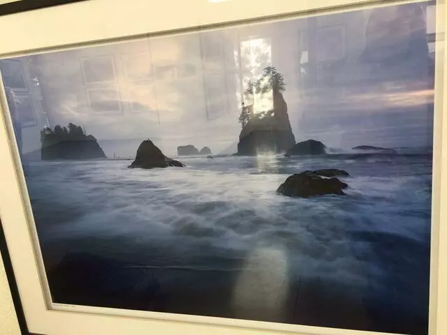 Art Ark Gallery