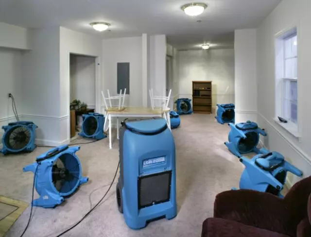 All American Carpet & Upholstery & Water Restoration