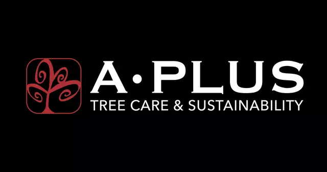 A Plus Tree