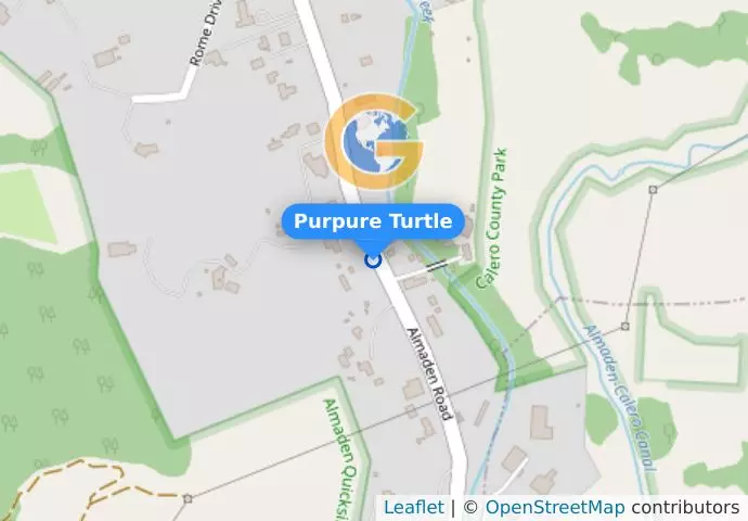 Purpure Turtle