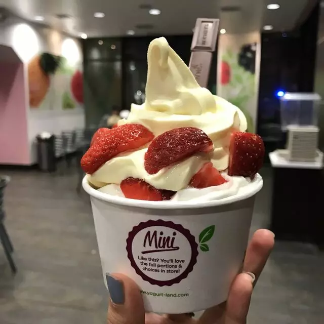 Yogurtland SJSU