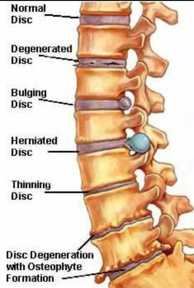 Aflakian Chiropractic Corp.