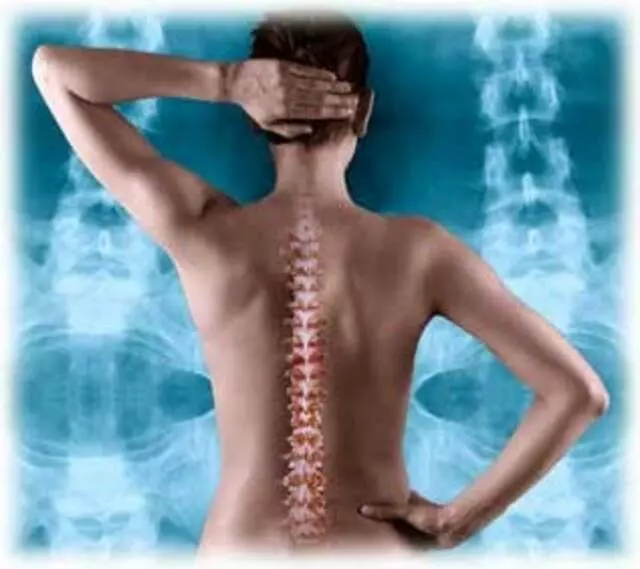 Aflakian Chiropractic Corp.