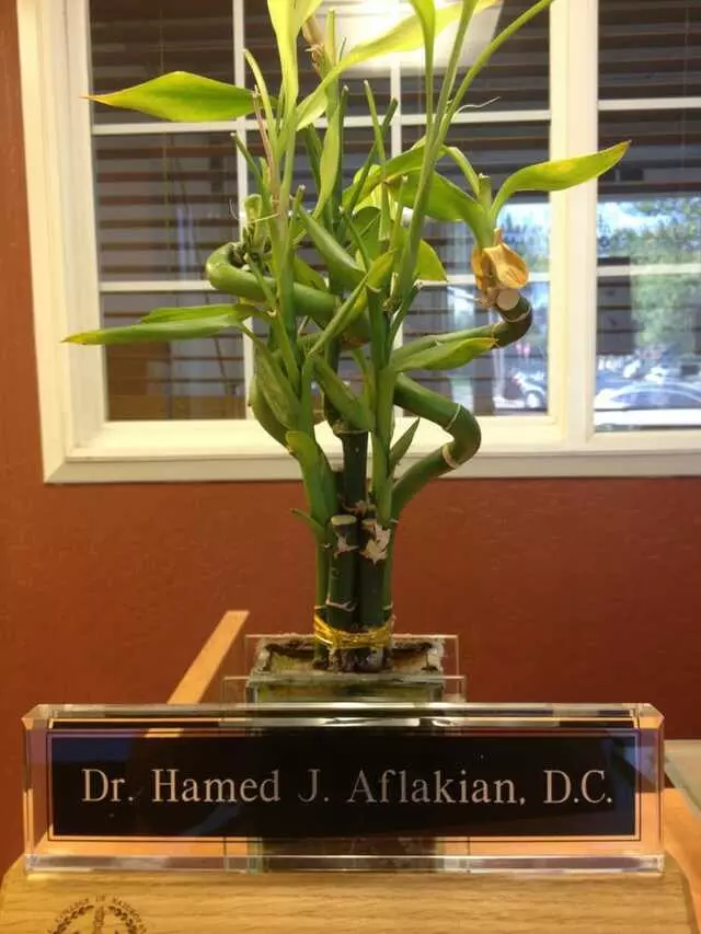 Aflakian Chiropractic Corp.