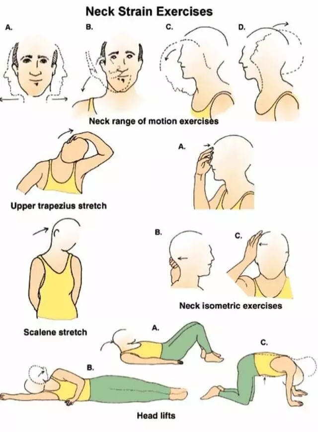 Aflakian Chiropractic Corp.