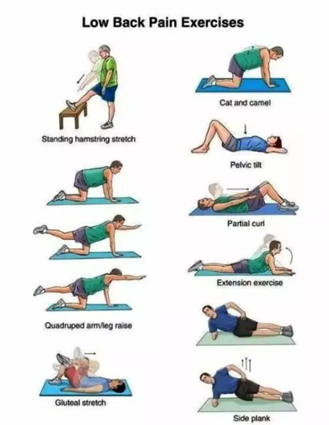 Aflakian Chiropractic Corp.
