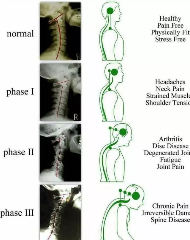 Aflakian Chiropractic Corp.
