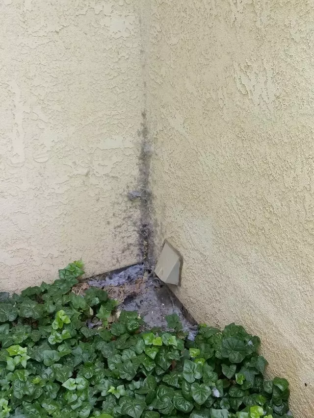 Rigos pressure washing