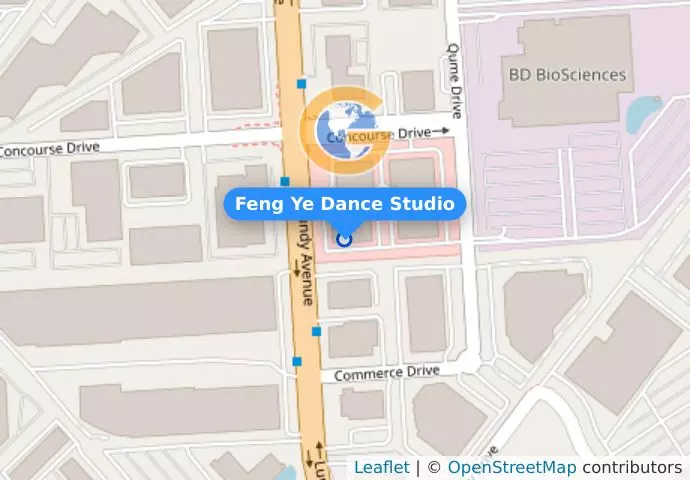 Feng Ye Dance Studio