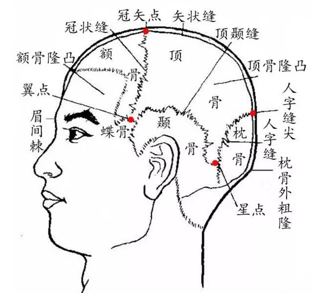 Alice Acupuncture Center