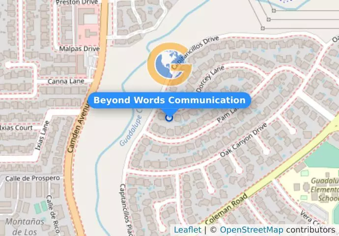 Beyond Words Communication