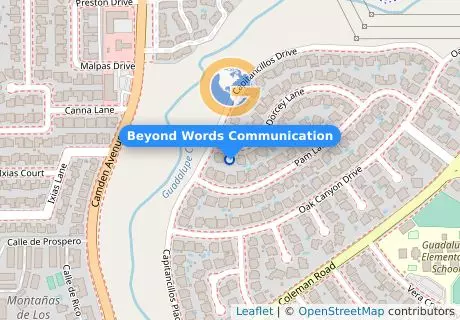 Beyond Words Communication