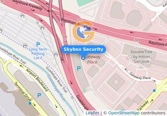 Skybox Security