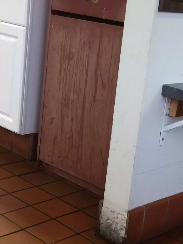 Mojo Burger