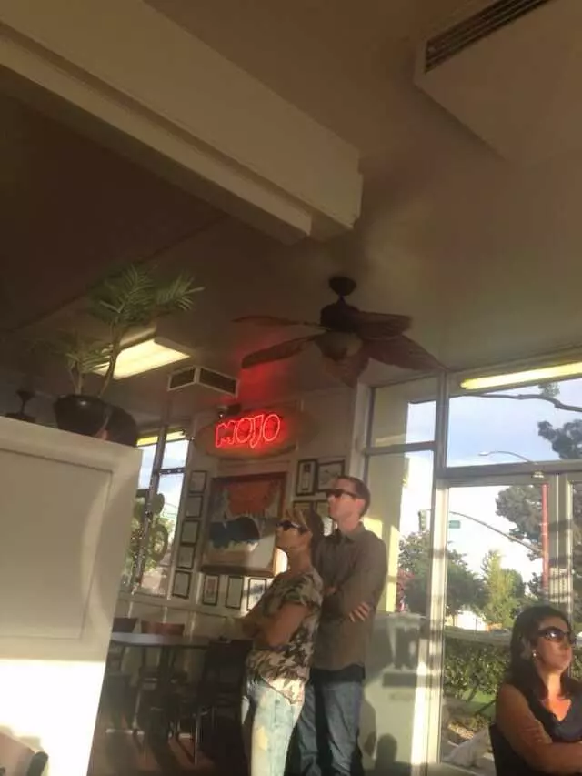 Mojo Burger