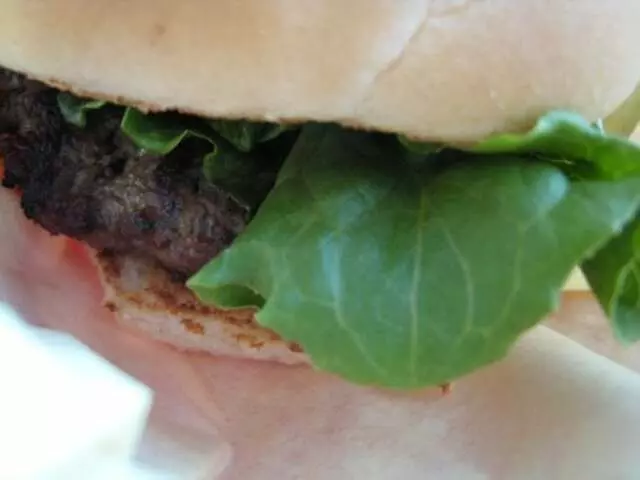Mojo Burger
