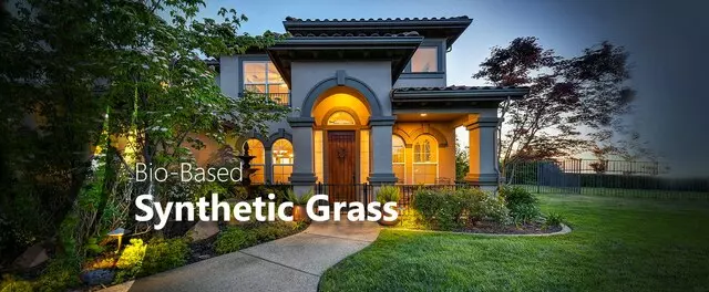 SYNLawn of Silicon Valley