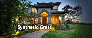 SYNLawn of Silicon Valley