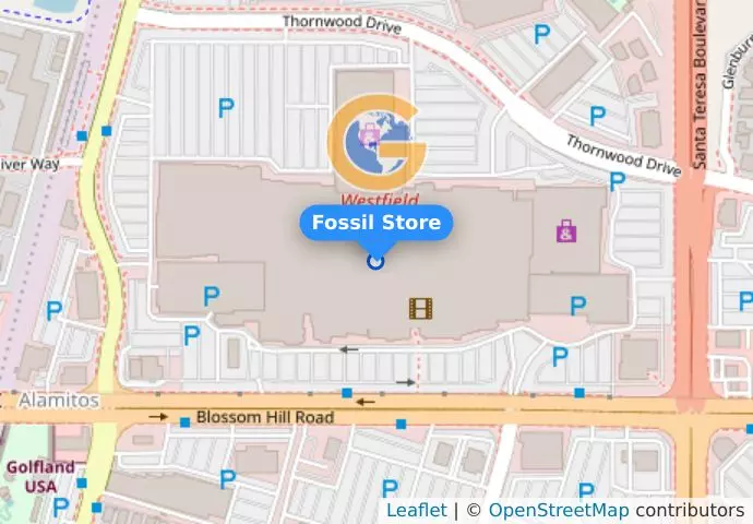 Fossil Store
