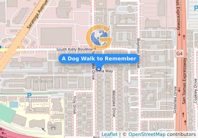A Dog Walk to Remember