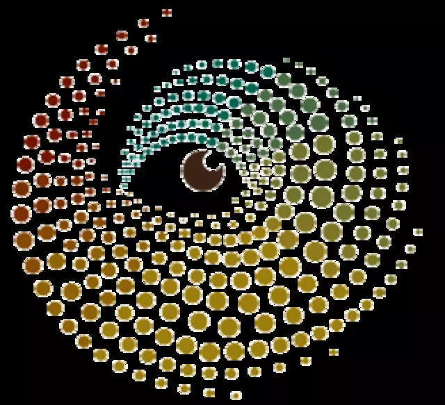 Spiral Process Therapy