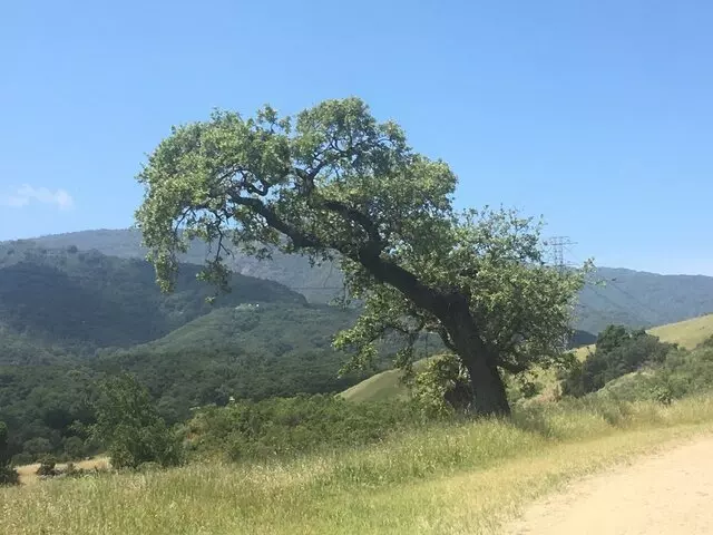 Almaden Quicksilver County Park